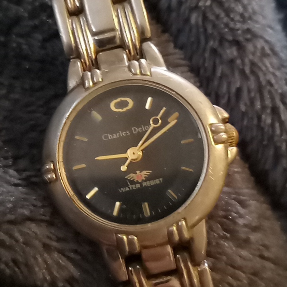 Charles delon watch